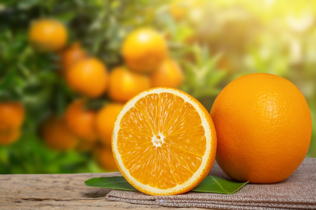 orange-from-garden
